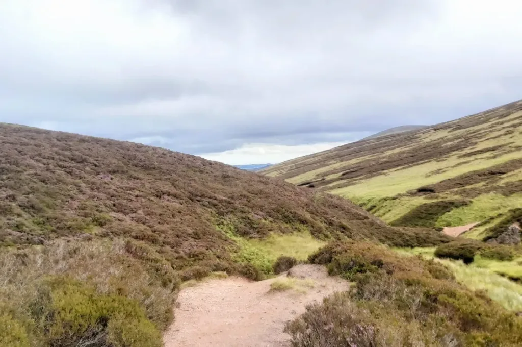 Small winding footpath leading through rolling heather moorland