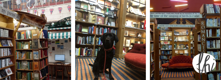 Barter Books is dog friendly